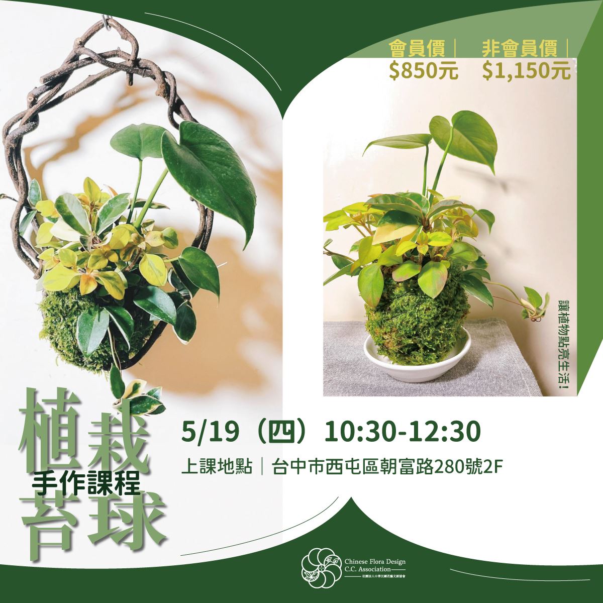 苔球體驗手作課程、苔球教學、手作苔球